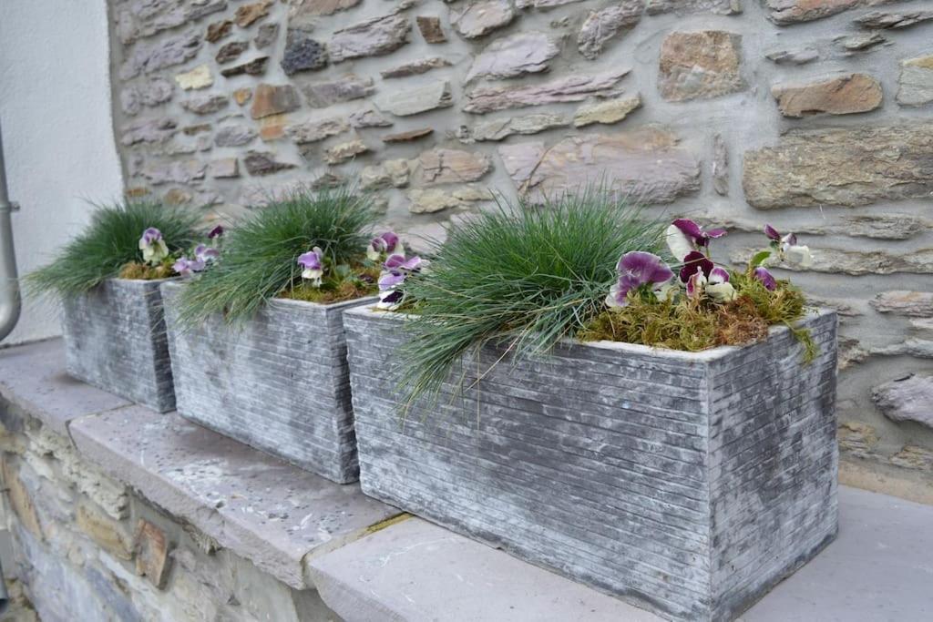 Gite La Forge Lierneux Buitenkant foto