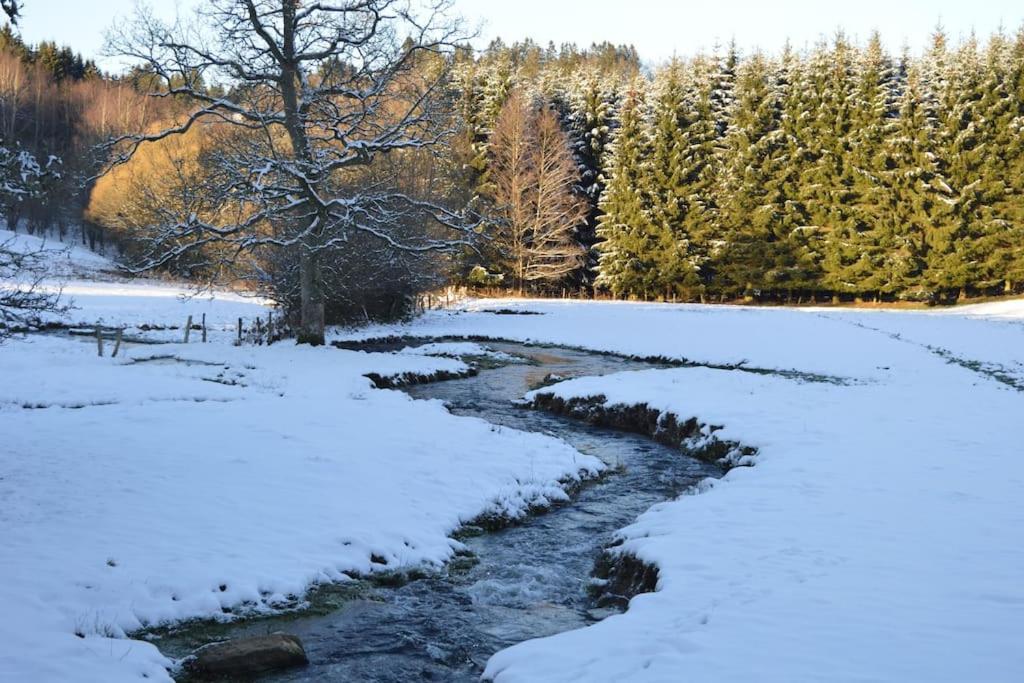 Gite La Forge, Ouvert En 2016. Villa Lierneux Buitenkant foto