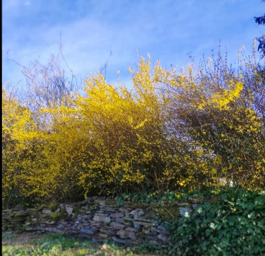 Gite La Forge, Ouvert En 2016. Villa Lierneux Buitenkant foto